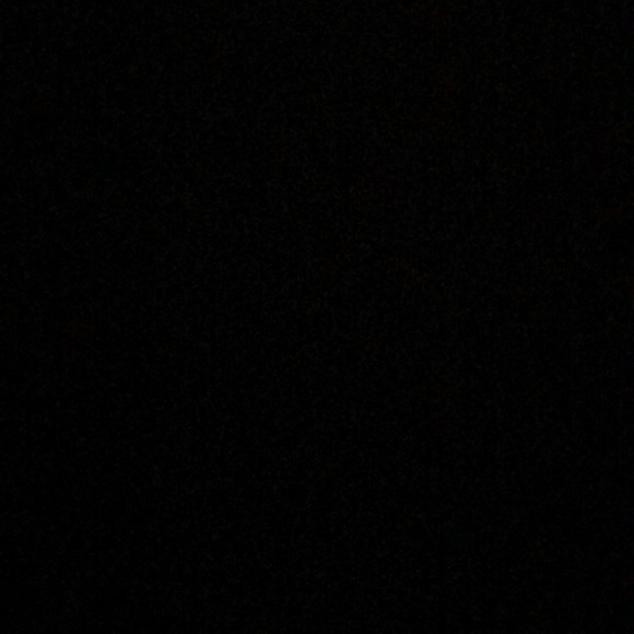 Meet your Posher, Clara - Picture 1 of 1